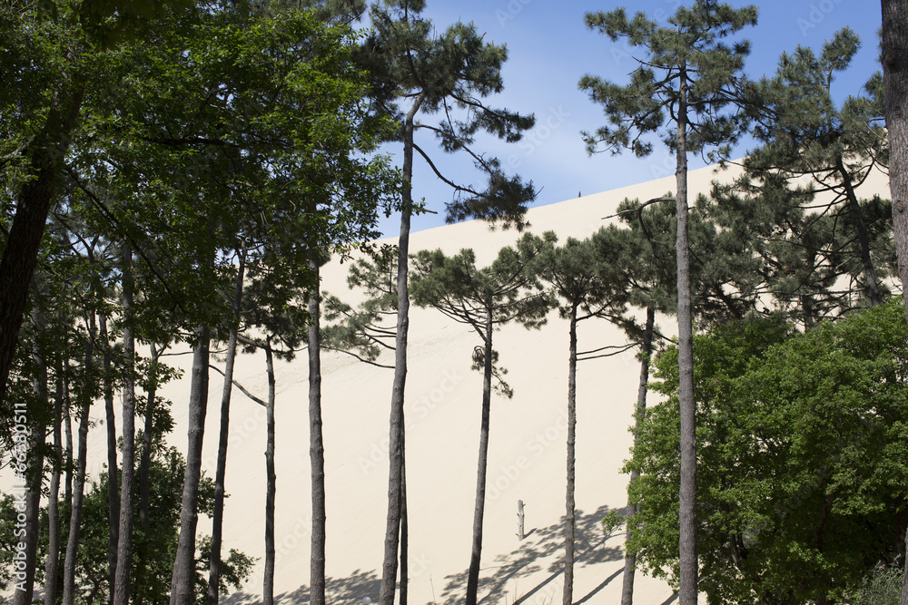 Fototapeta premium pyla sand dunes france