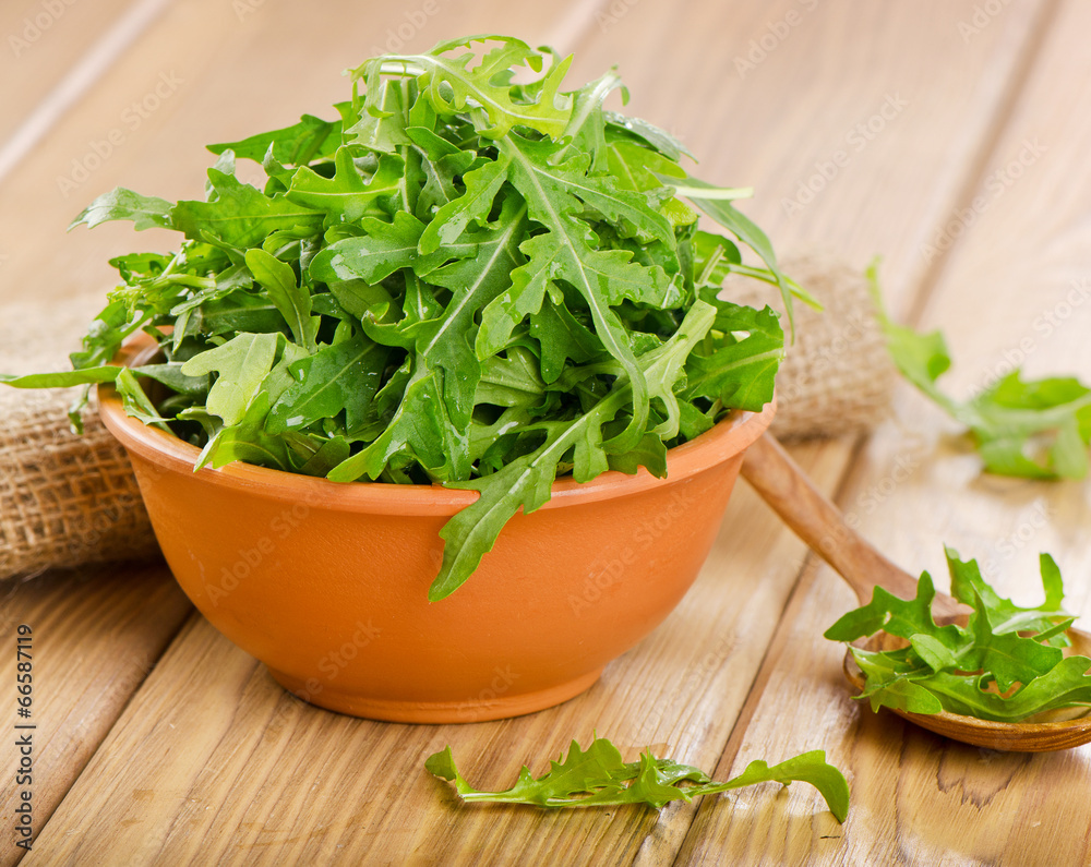 Fresh arugula salad