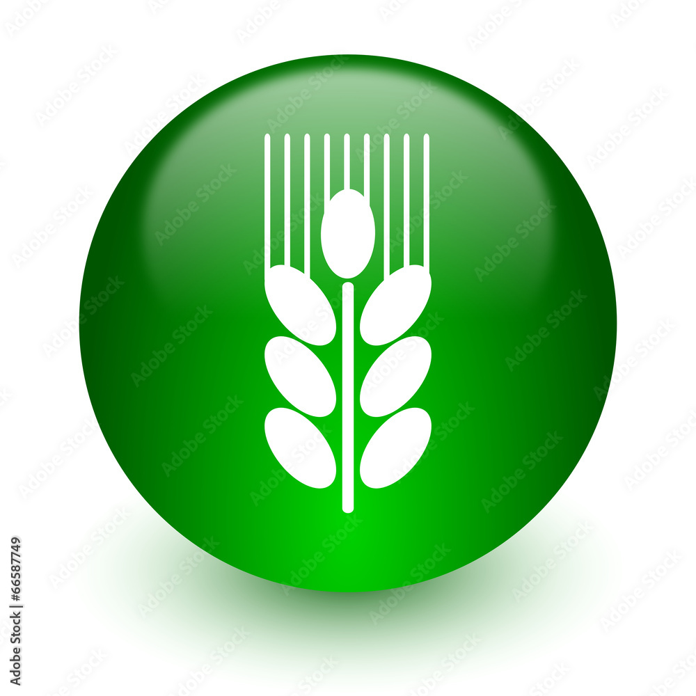 grain icon