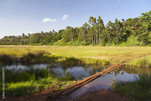 Ondiri Swamp in Kikuyu, Kenya