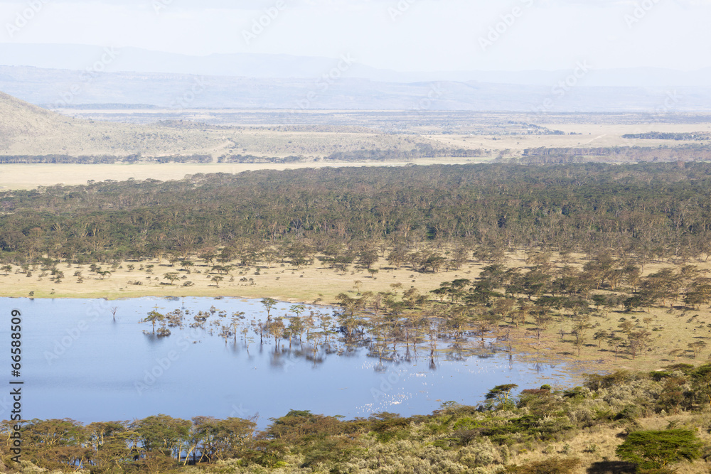 Nakuru National Park Landscape, Kenya