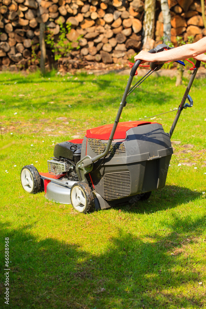 Fototapeta premium Gardening. Mowing green lawn with red lawnmower