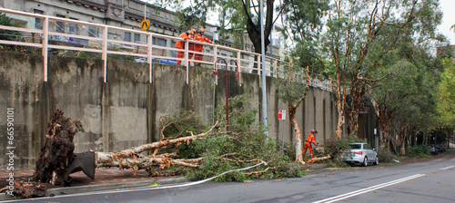 Sydney SES volunteer clears fallen branches after mini-tornado 