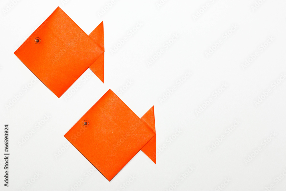 折り紙の金魚 左配置2匹 Stock Photo Adobe Stock