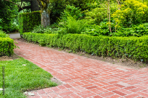 Green hedge and brick pathway in a garden