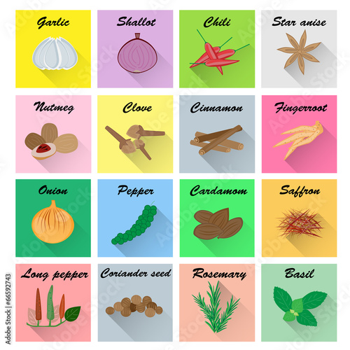 Spices vector set