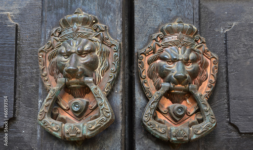 Fotografie ancient wooden gate with door knocker rings