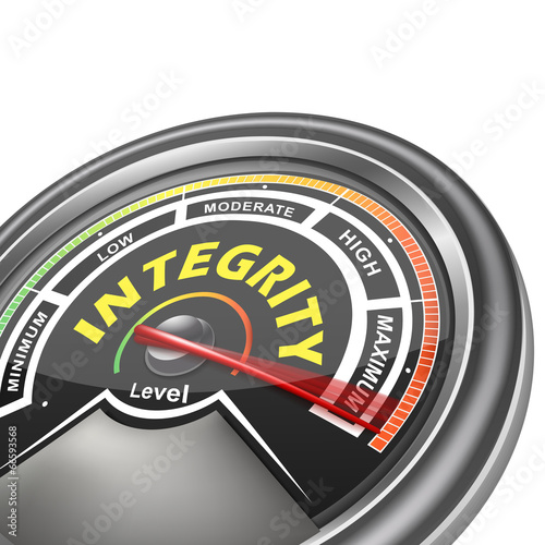 vector integrity conceptual meter indicator