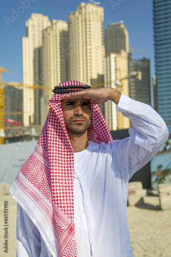 Portrait of the young arabi...
