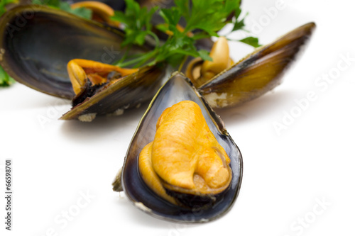 tasty mussels with parsley