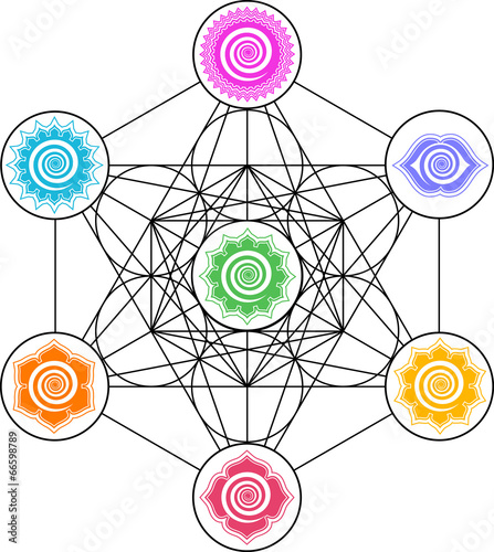 7 Chakren, Metatrons Würfel, Blume des Lebens