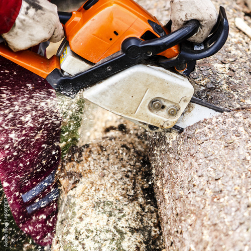 Wallpaper Mural Man sawing a log in his back yard Torontodigital.ca