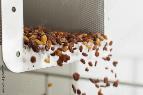 raisins in raisin production factory packaging photo