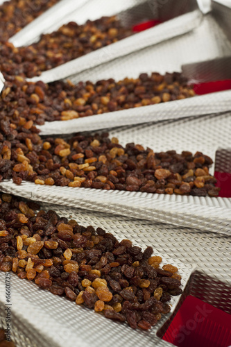 raisins in raisin production factory packaging photo