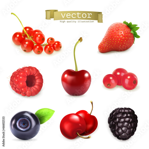 Sweet berries  vector illustration set of high quality