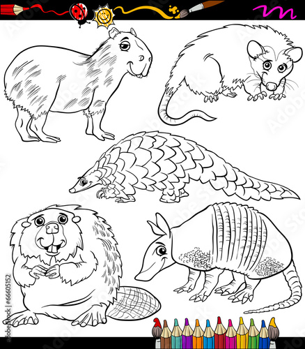 animals set cartoon coloring book