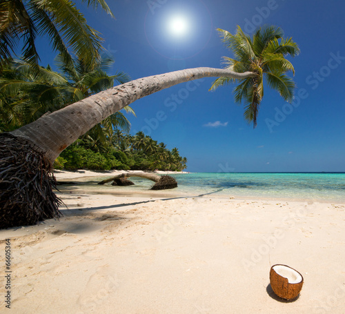 Fototapeta Naklejka Na Ścianę i Meble -  Coconut Beach