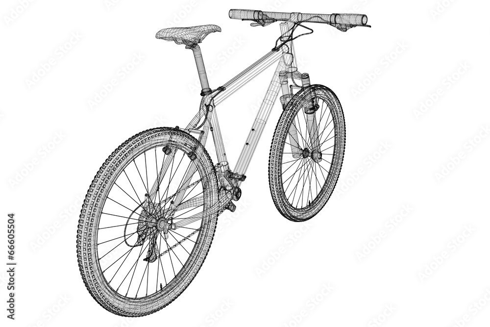 Fototapeta premium Mountain Bicycle