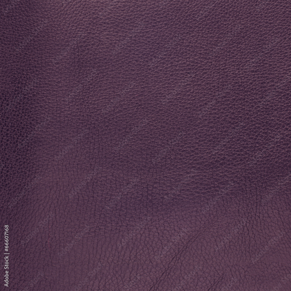 Fototapeta premium Violet leather texture
