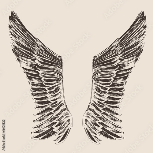 angel wings illustration, engraved style, hand drawn,