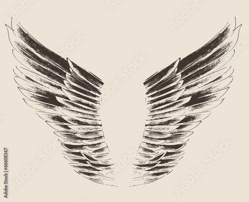 angel wings illustration, engraved style, hand drawn, sketch