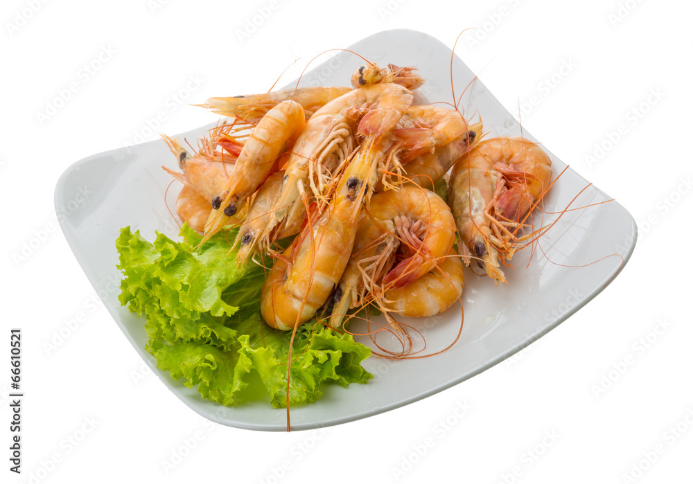 Big tiger shrimps