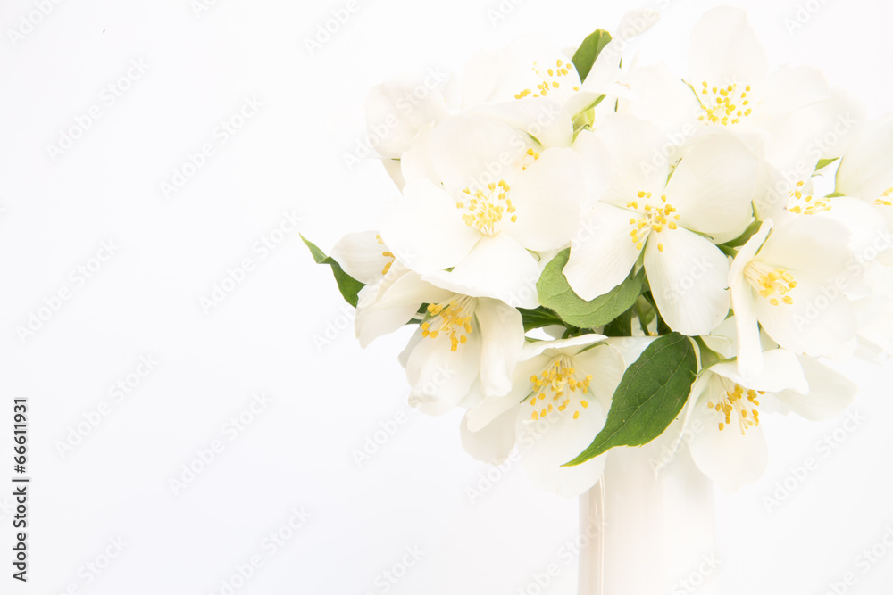 Fototapeta premium Beautiful bouquet of daisies.