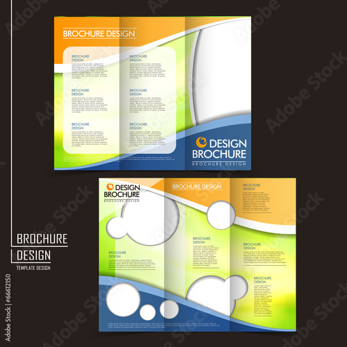 vector tri-fold business brochure layout design template