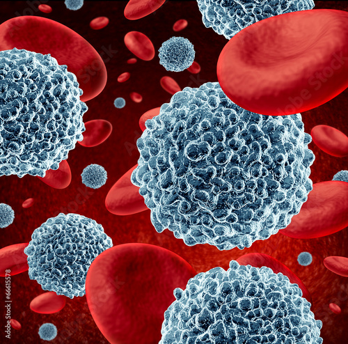 White Blood Cells
