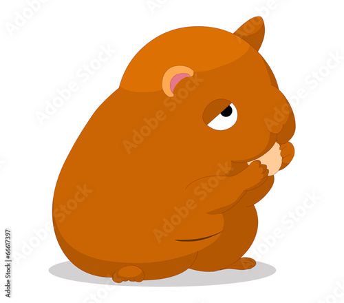 Cute baby hamster cartoon