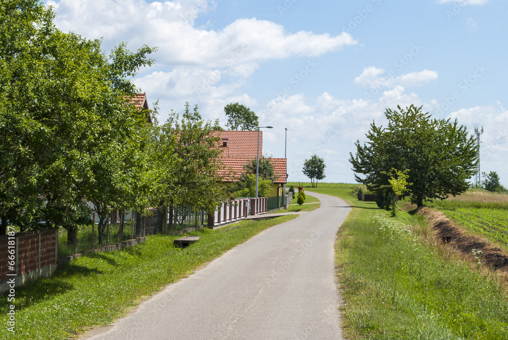 Road Through the Village