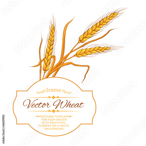 Wheat ear card.
