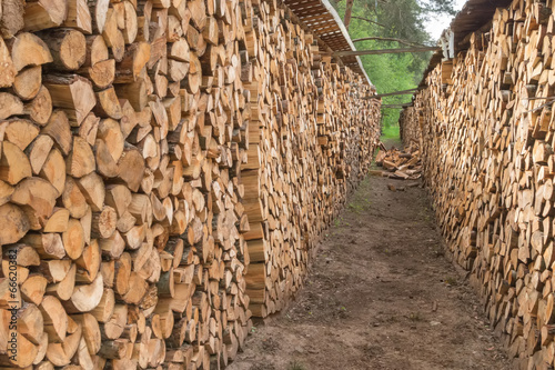 Firewood stacked in a row in the garden