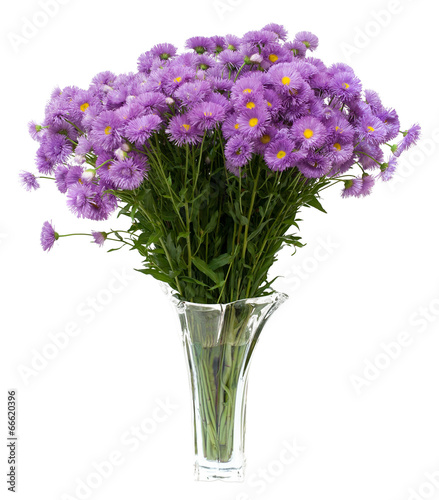 .bouquet of wild flowers in a vase.