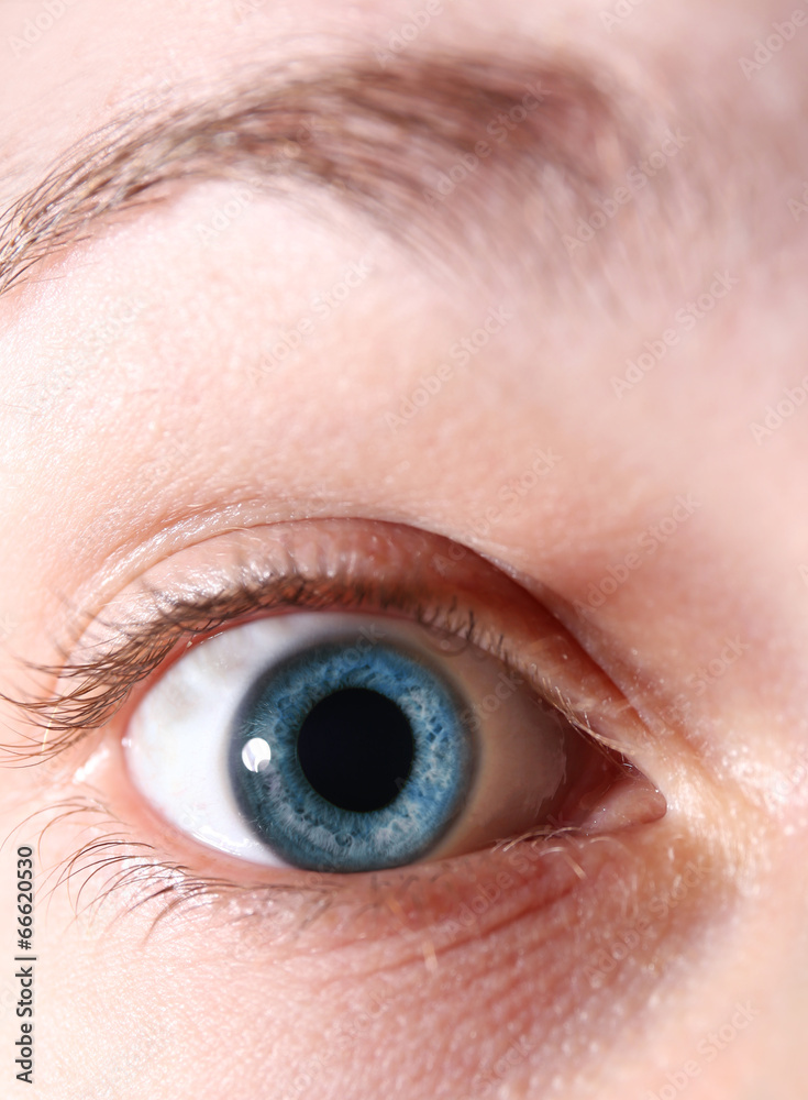 Obraz premium Beautiful eye, closeup