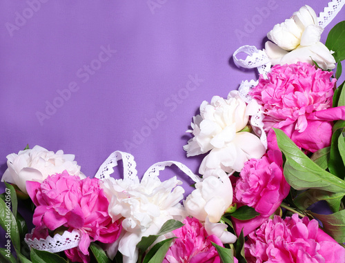 Beautiful pink and white peonies on color  fabric background