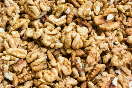 walnut kernels pattern