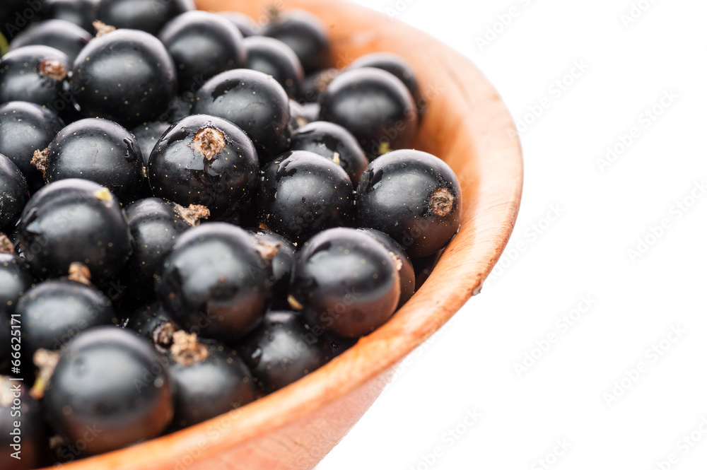 black currant in plate black currant in plate
