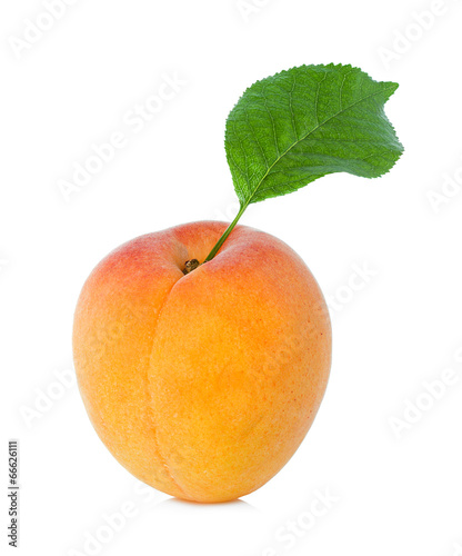 Apricot with leaf on a white background