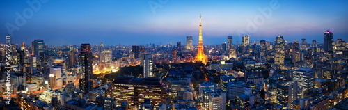 Tokyo Panorama bei Nacht #66627381