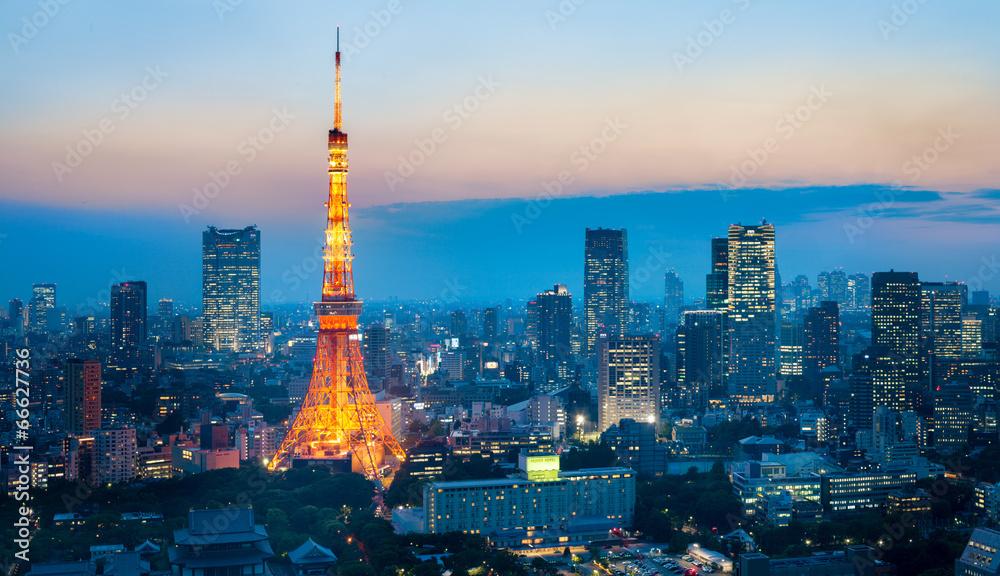 Naklejka premium Tokyo Tower w nocy