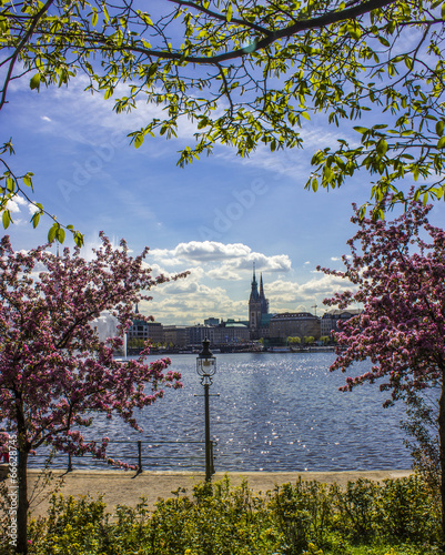 Hamburger Alster photo