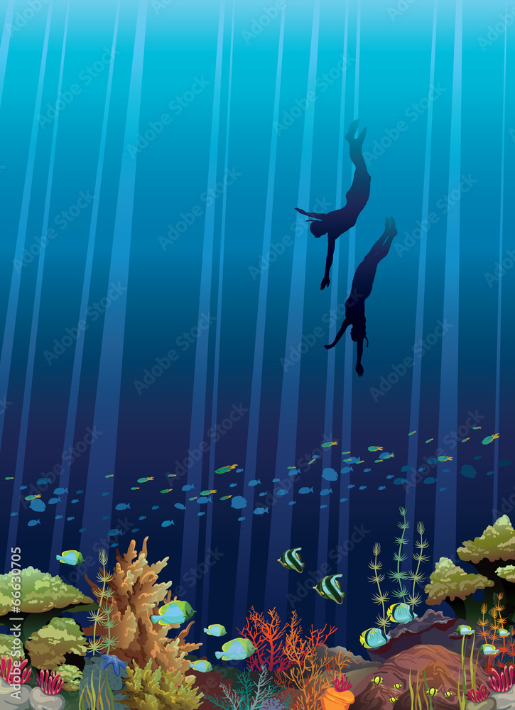 Obraz premium Coral reef and two freedivers.