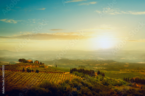 traditional villa in Tuscany, famous vineyard in Italy