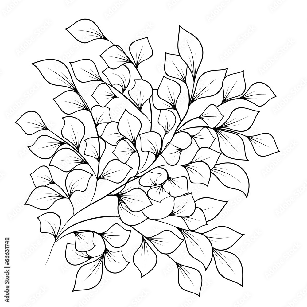 Black and white branches with leaves on isolated background Black and white branches with leaves on isolated background