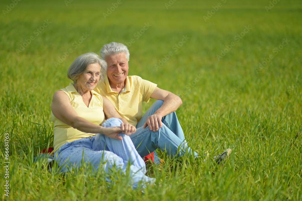 Fototapeta premium Beauteous old couple