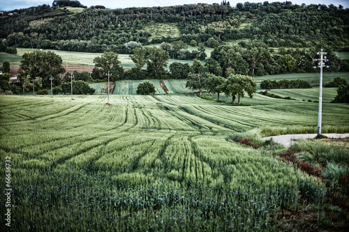 Fototapeta Naklejka Na Ścianę i Meble -  Farmland Perugia