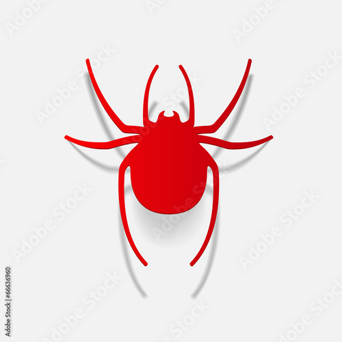realistic design element: spider