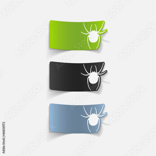 realistic design element: spider