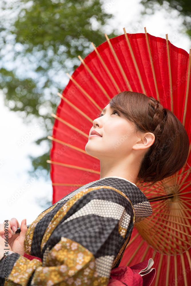 着物を着た女性 着物を着た女性
